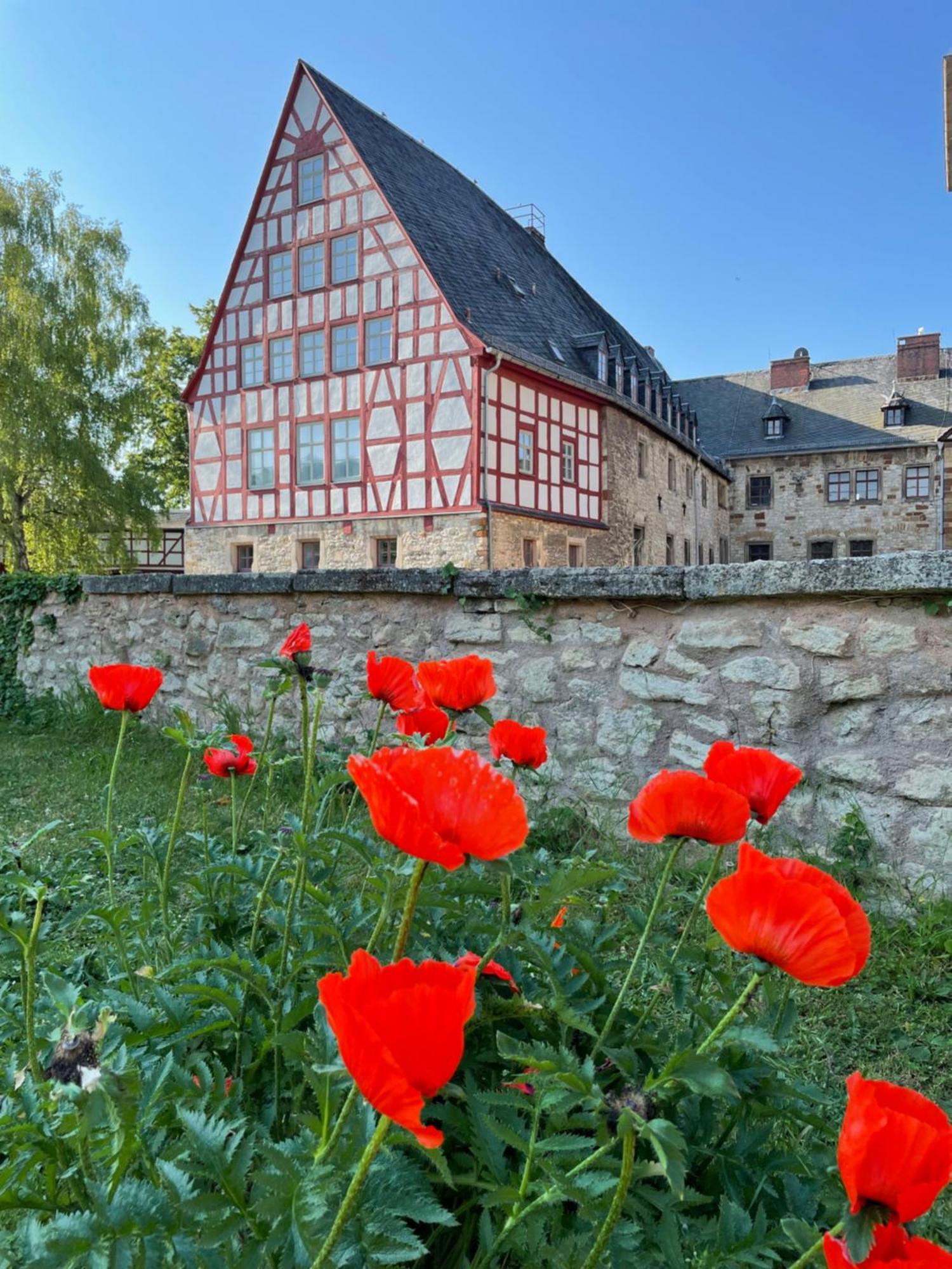 Schloss Beichlingen Exterior foto
